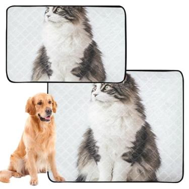 Imagem de TSENQUE Almofadas laváveis para animais de estimação reutilizáveis para xixi bonito Maine Coon Cat almofada absorvente tapete impermeável para gaiola de cachorro, médio + grande, conjunto de 2