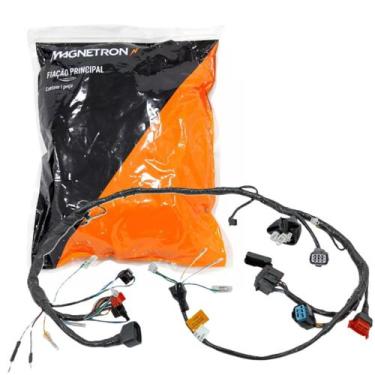 Imagem de Fiação Principal Cbx 250 Twister 2004 A 2005 Magnetron