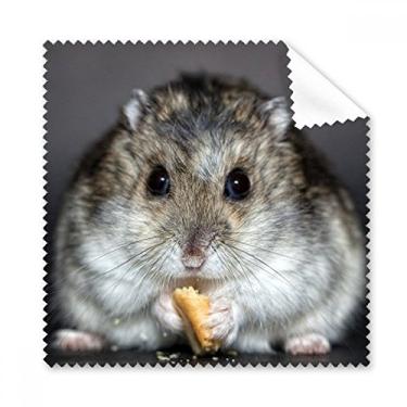 Imagem de Hamster Animal Rat Pet Cute Eat pano de limpeza para tela de telefone, 5 peças