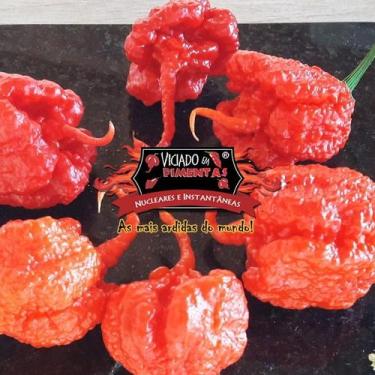 Imagem de Carolina Reaper Vermelha Sementes 25 Unidades - VICIADO EM PIMENTAS