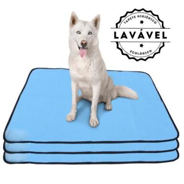 Imagem de Kit com 3 Tapetinhos Alta Absorção para Pets 100x70 Azul - 200 Lavagen