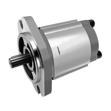 Imagem de Bomba Hidraulica Modelo  Hgp-3A-F10R Vazão 10 Cm3/Rot - ENG