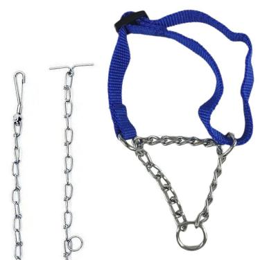 Imagem de Coleira Semi Enforcadora Ajustavel Kit Corrente Guia Aço