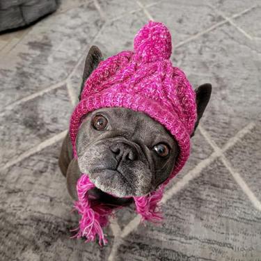 Imagem de Chapéu de inverno de buldogue francês, cabeça quente para animais de estimação, gorro de lã de tricô com borla trançada longa e orifícios de orelha, acessório de cabeça de filhote para cães pequenos e