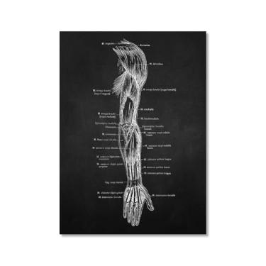 Imagem de Fundo preto anatomia humana arte médica impressões em tela imagens esqueleto músculo pôster vintage educação pintura arte decoração de parede (SKU4,20.3x30.5 cm = (20x30 cm), sem moldura)