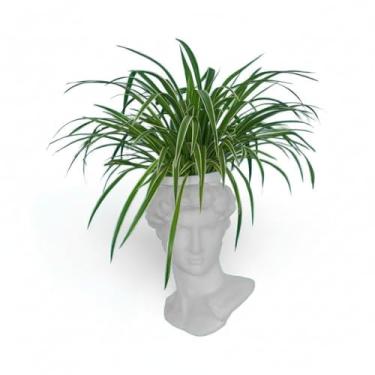 Imagem de Cachepot Escultura Davi Michelangelo Branco Decorativo em Polietileno