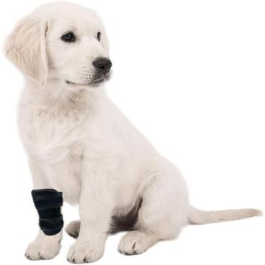 Imagem de Tala Ortese do Cachorro imobilizador de Joelho do Cao - Radioboots, m