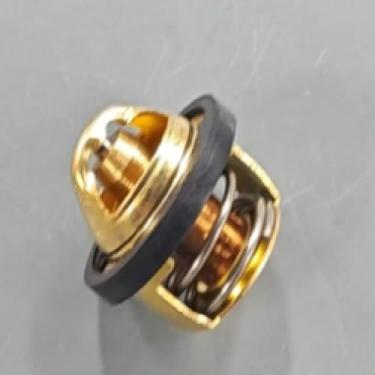 Imagem de Termostato para Kawasaki Ninja 250R 300 EX250F 300 Versys-X 300 KLE300 2008-2024 49054-1056