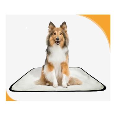 Imagem de Tapete Pets Lavável Canino Em Oferta 2 Un M - 60 X 80 Cm - Shelby Moda