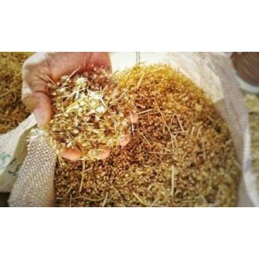 Imagem de Semente De Capim Buffel Aridus Nutripasto - 6Kg - Alta Qualidade E De 