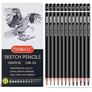 Imagem de PANDAFLY Conjunto de lápis de desenho profissional – 12 lápis de grafite (14B – 2H), ideal para desenhar arte, esboçar, sombrear, lápis de artista para iniciantes e artistas profissionais