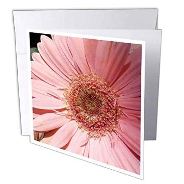 Imagem de 3dRose Gerbera rosa - Cartões comemorativos, 15 x 15 cm, conjunto de 6 (gc_7497_1)