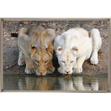 Imagem de Quadro Decorativo Tela Sala Hall Quarto 64x94cm Marrom Leões