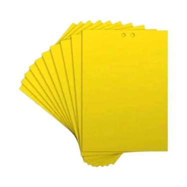 Imagem de Pacote Com 10 Armadilhas Para Moscas De Fruta E Placas De Slime Para P