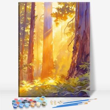 Imagem de Kit de Pintura por Números Aeontinity 40x30 cm com Tela