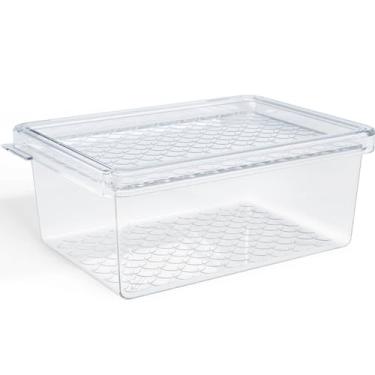 Imagem de Organizador de Geladeira com Tampa 660ml Cozinha Multiuso Frutas Pequeno Transparente UZ