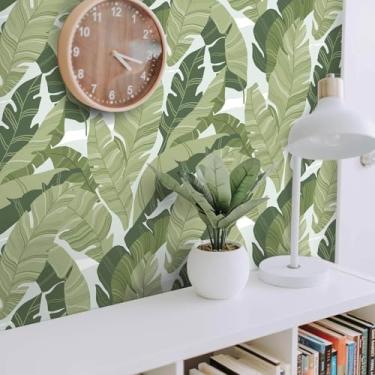 Imagem de Fiula Papel de parede verde descascar e colar folhas de contato papel de parede moderno amigável ao locatário autoadesivo impermeável removível banheiro quarto vinil 41 cm × 993 cm