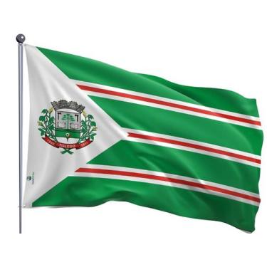 Imagem de Bandeira do Município de Toledo Uma Face Estampada Tamanho 70x100cm - 