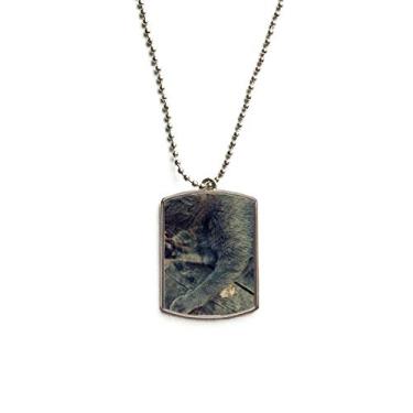 Imagem de DIYthinker Colar com pingente de gato cinza com foto de animal de estimação com corrente de aço inoxidável