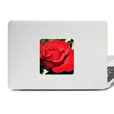 Imagem de Adesivo vermelho grande rosas flores decalque vinil paster laptop decoração PC