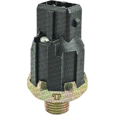 Imagem de Sensor De Detonacao Renault Clio Kangoo Megane Scenic Tds Pe