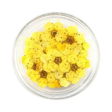 Imagem de Flores Secas Prensadas De Narciso E Flor De Ameixa 20pçs Para Resina E