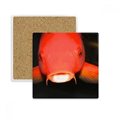 Imagem de Porta-copos quadrado de animal de peixe vermelho de organismo marítimo tapete para caneca subplaca suporte de pedra isolante