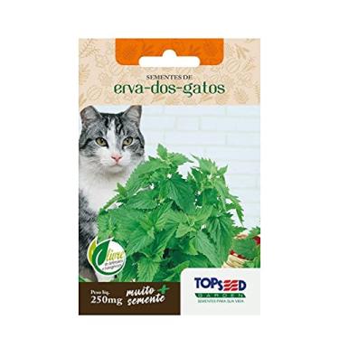 Imagem de Sementes de Erva de Gatos Catnip 500 sementes