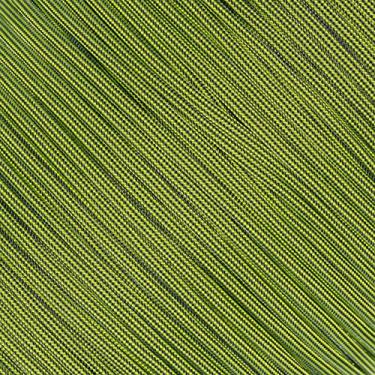 Imagem de Corda Paracord 550 de sobrevivência West Coast, Boom Diggity, 50 Feet