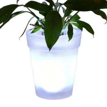Imagem de Rrlihjgu Vaso de LED à prova d'água, vaso de iluminação de paisagem, vaso de LED movido a energia solar - para caminho, gramado, quintal, exterior, casa, pátio, inauguração de casa, aniversário