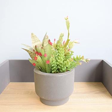 Imagem de Arranjo de Suculentas Artificiais Toque Real no Vaso Cumbuca Cinza P