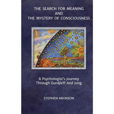 Imagem de The Search For Meaning and The Mystery of Consciousness
