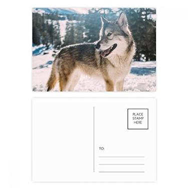 Imagem de Smile White Dog Snow conjunto de cartões postais de aniversário para enviar cartões de agradecimento