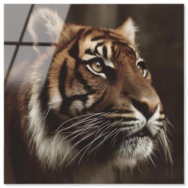 Imagem de Decoração de parede de tigre com impressão acrílica Reign Roar por Notoriart, pronta para pendurar, 50 x 50 cm