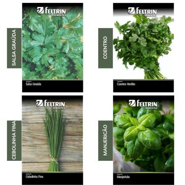 Imagem de Kit 4 Sementes Tempero Jardim Horta Em Casa (Salsa Graúda, Cebolinha Fina, Manjericão, Coentro)
