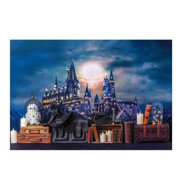 Imagem de Fundo Fotográfico Newborn Harry Potter 3,0X2,5 Ffg-102