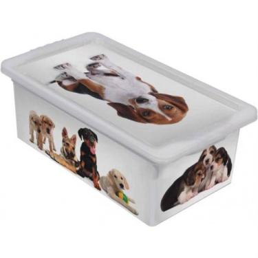 Imagem de Caixa Organizadora 2,3 Litros Cães Branca - OR18L-06 - SÃO BERNARDO - 