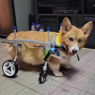 Imagem de PUJPOQRP Cadeira de rodas para animais de estimação, suporte completo para pernas dianteiras/traseiras com deficiência, suporte para cadeira de rodas ajustável, treinamento de reabilitação de cães