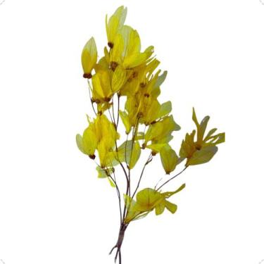 Imagem de Flor De Magnólia No Galho Folha Amarelo ou Rosa Arranjo Decoração - FL