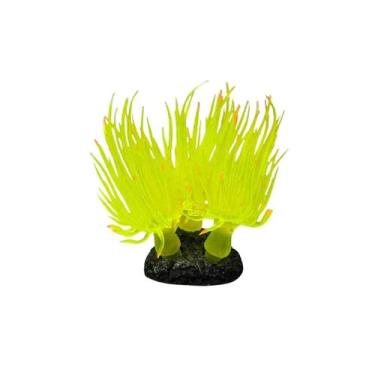 Imagem de Soma Anemona Long Tentacle Amarela Multi