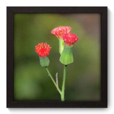 Imagem de Quadro Decorativo - Flor - 22cm x 22cm - 036