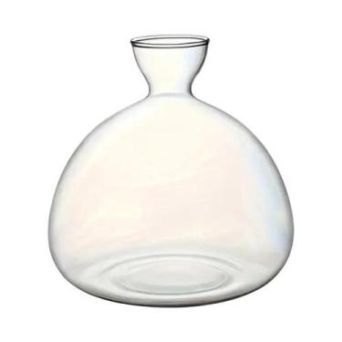 Imagem de Vaso De Vidro Para Germinação De Sementes De Abacate, Vaso Hidropônico