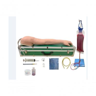 Imagem de Braço Luxo Para Punção Venosa