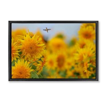 Imagem de Stupell Industries Design de arte de parede em tela flutuante com moldura preta beija-flor feliz e girassóis por Carrie Ann Grippo-Pike, 53 x 78 cm