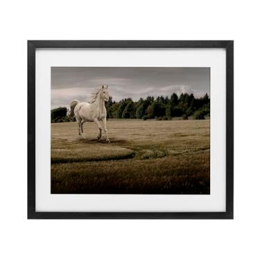Imagem de Stupell Industries Impressão emoldurada em preto cavalo galopando por Marcus Prime, 13 x 16