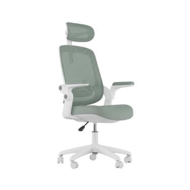 Imagem de Cadeira De Escritorio Elements Astra Verde/branco