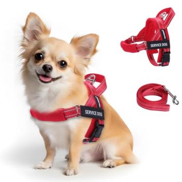 Imagem de FAYOGOO Colete para cães de pequeno a grande porte, peitoral leve para cães de serviço com alça ajustável no peito, não puxa, à prova de choque. Peitoral à prova de fuga para treinamento de caminhada