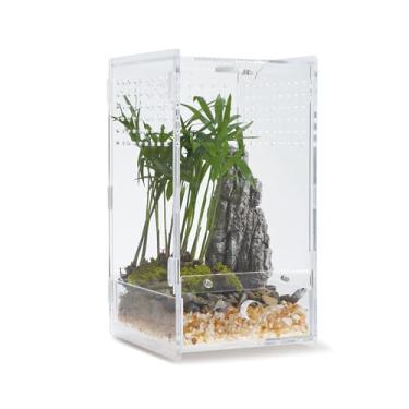Imagem de WBHONGHUI Terrário de habitat de réptil transparente acrílico com trava, perfeito para anfíbios e invertebrados como aranhas, sapos, etc. (vertical pequeno)