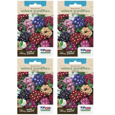 Imagem de 4X Sementes de Verbena Grandiflora Sortida TOPSEED