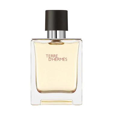 Imagem de Perfume  hermes dterre men 100ml edt